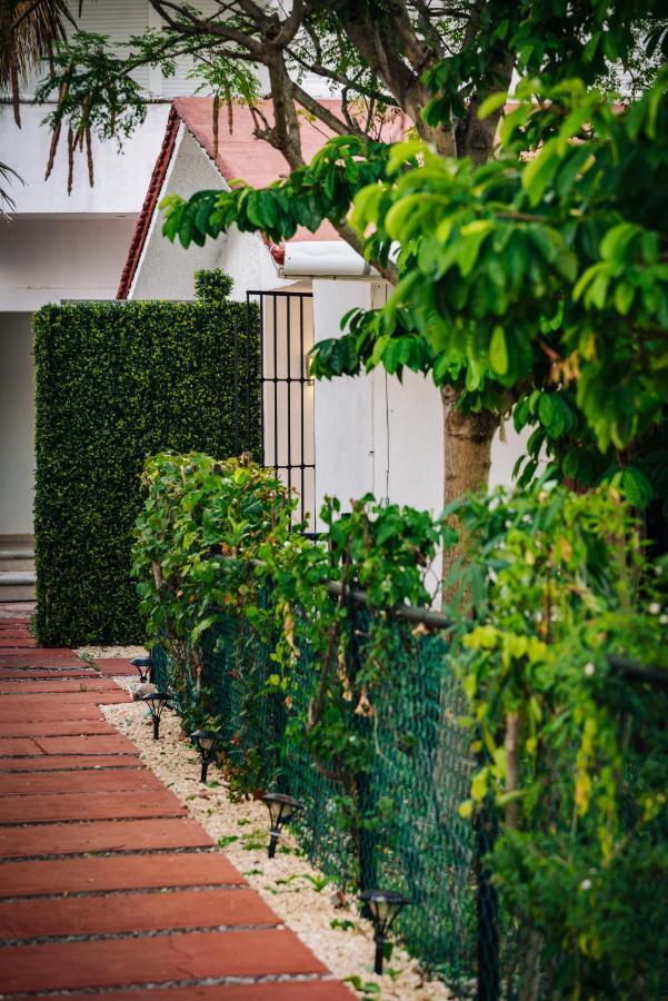 Newly Renovated ! Villa Laguna แคนคูน ภายนอก รูปภาพ